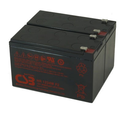 Battery Kit for Delta Power Amplon RT Series RT-1K UPS